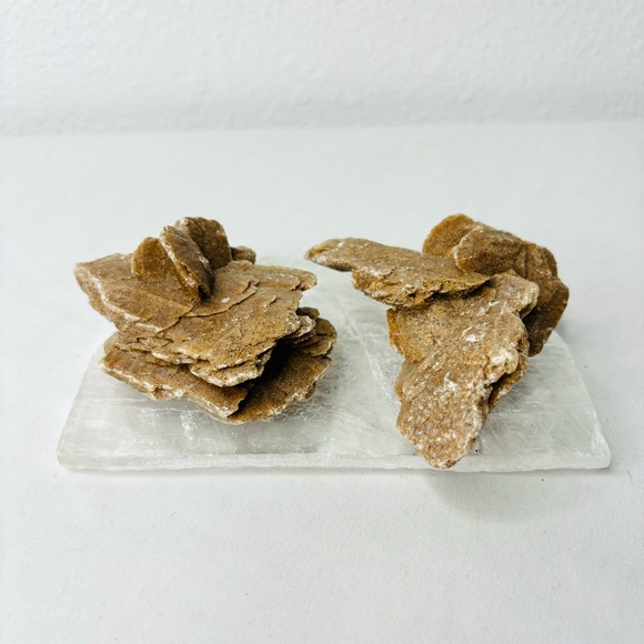 Set of 2 Desert Rose Gypsum - Picture 2 of 7